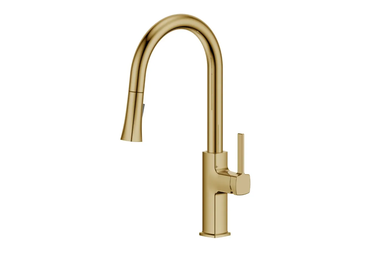 Premium Pull-Down Kitchen Faucet (F503)