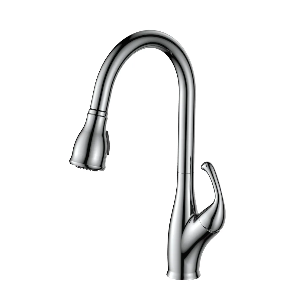 Pull-Down Kitchen Faucet (F506)