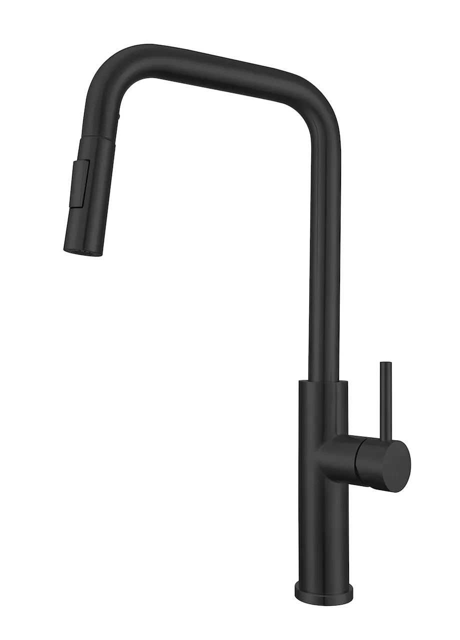 Modern Sleek Pull-Down Kitchen Faucet (S305)