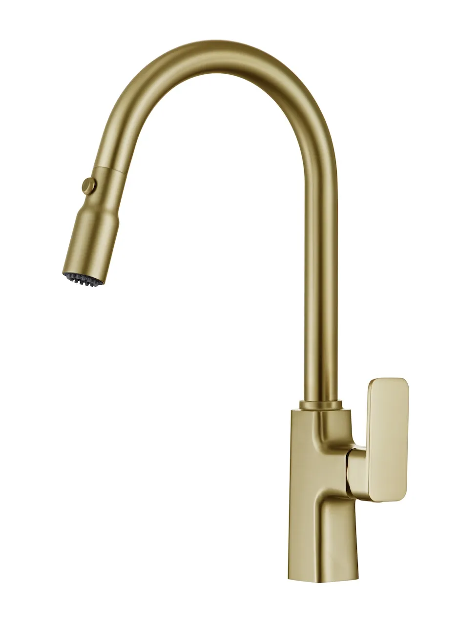 Modern Sleek Pull-Down Kitchen Faucet (T2025)