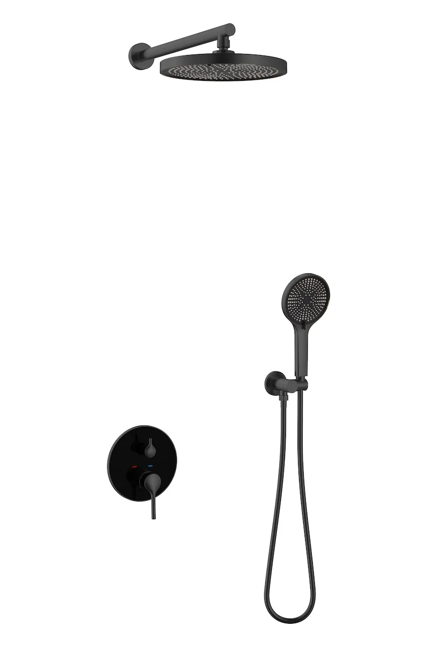 Premium Wall-Mounted Shower System (T3004)
