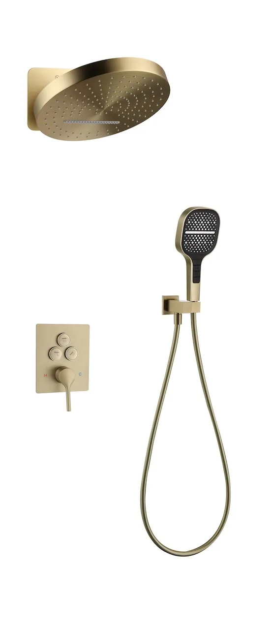 Wall-Mounted Shower System (T3005）