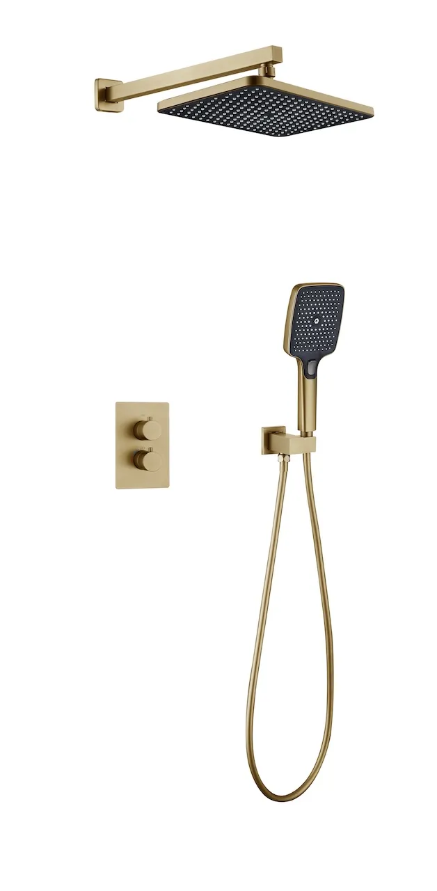 Wall-Mounted Shower System (T3009)