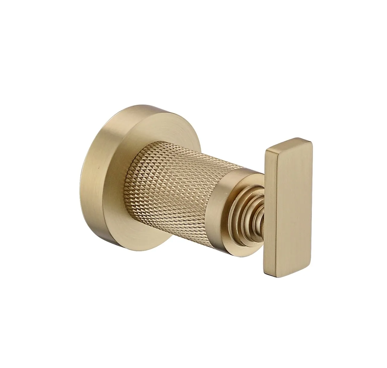Modern Premium Robe Hook (1301A)